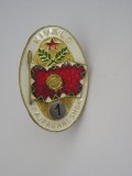 QW9 N 32 - insigna - militar - Ungaria - Kivalo Pajparancsnok Specialist clasa 1