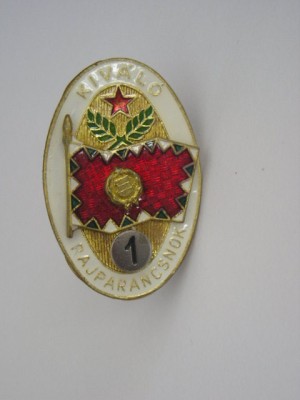 QW9 N 32 - insigna - militar - Ungaria - Kivalo Pajparancsnok Specialist clasa 1 foto