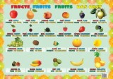Plansa fructe - Autor Anonim - Editura Ars Libri