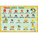 Plansa fructe - Ars Libri