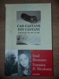 Cad castane din castani- Emil Brumaru, Veronica D. Niculescu