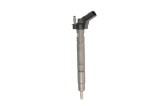 Injector AUDI A4 (8K2, B8) (2007 - 2015) BOSCH 0 445 116 039