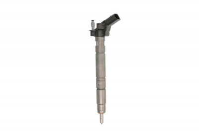 Injector AUDI A6 Avant (4G5, C7, 4GD) (2011 - 2016) BOSCH 0 445 116 039 foto