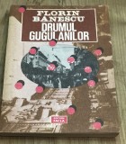 DVP10 0442 Istorie - Florin Banescu - Drumul gugulanilor