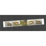 SERBIA 2019 FAUNA ANIMALE PROTEJATE LUPI URSI RASI PISICI SALBATICE