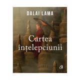 Cartea intelepciunii, Dalai Lama, Curtea Veche