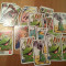 Joc carti cvartet cu imagini dragute cu animale, 33 cartonase, 8 cvartete