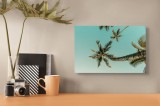 Tablou Canvas, "Prieteniile v&acirc;ntului și palierelor tropicale", Cer, Palme, Verde, Relaxare, Tropical, Natură, Vacanță, 39 x 26 cm, CMCLASS