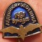 I.694 INSIGNA STICKPIN BULGARIA SPEOLOGIE PESTERA LEDENIKA LILIAC h15mm email