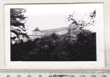 Bnk foto - Castelul Rasnov, Alb-Negru, Romania de la 1950, Cladiri