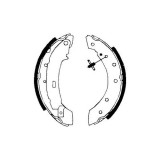 Set saboti frana Delphi LS1717, parte montare : Punte Spate