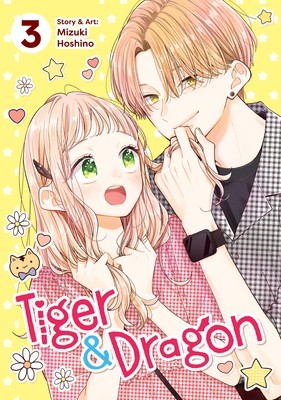 Tiger and Dragon Vol. 3 foto