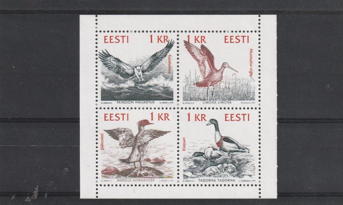 Fauna ,pasari ,Estonia.