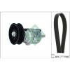 Set curea transmisie Audi A4 B5 (8d2) 11.94-12.01, A6 C5 (4b2) 01.97-12.05, A6 C5 Avant (4b5) 11.97-01.05; Vw Passat B5 (3b2) 08.96-12.01, INA