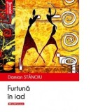 Furtuna in iad - Damian Stanoiu