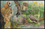 Timbre Malawi 2022 - Bufnite (4) - Colita Noua, Colectie, Tema Animale, Pasari de Noapte, Filatelie, Posta, Timbre Straine
