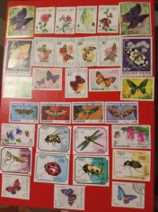 FLUTURI, INSECTE - SERII ȘTAMPILATE foto