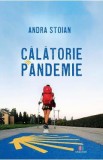 Calatorie in pandemie - Andra Stoian