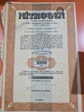 Titlu de 10 acțiuni nominative ale NITROGEN Societatea Anonimă Rom&acirc;nă, o companie care producea &icirc;ngrăşăminte şi produse chimice &icirc;n Bucureşti