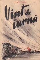 Vint de iarna foto