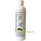 Sampon Regenerator cu Bradisor si Nuca Verde 250ml