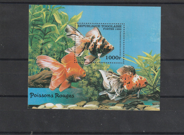 Fauna marina ,pesti, exotici ,Togo.