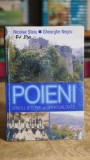 Poieni - Spatiu, istorie si spiritualitate - Gheorghe Negru, Nicolae Steiu