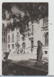 bnk cp Constanta - Muzeul de arheologie - circulata