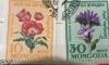 (M) Timbre serii Straine Flora Mongolia, Stampilat