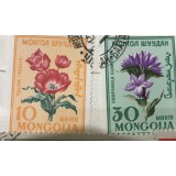 (M) Timbre serii Straine Flora Mongolia