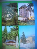 HOPCT LOT 3186 - 4 CARTI POSTALE-SINAIA-JUD PRAHOV-CIRCULATE, Circulata, Printata, Prahova