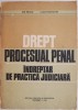 Drept procesual penal. Indreptar de practica judiciara &ndash; Ion Neagu, Lucia Moldovan