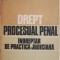 Drept procesual penal. Indreptar de practica judiciara &ndash; Ion Neagu, Lucia Moldovan