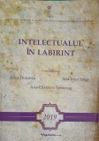 INTELECTUALUL IN LABIRINT-ANCA DIMITRIU, ANA IRINA IORGA, ANA ELISABETA TOMORUG-251283