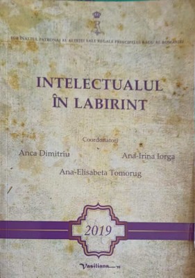 INTELECTUALUL IN LABIRINT-ANCA DIMITRIU, ANA IRINA IORGA, ANA ELISABETA TOMORUG-251284 foto
