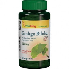 Ginkgo Biloba Forte (cu absorbtie indelungata) 120mg 60cps foto