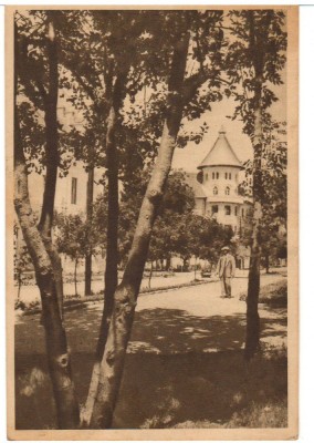 CPIB 18143 CARTE POSTALA - VASILE ROAITA, EFORIE, RPR, LIBRARIA NOASTRA foto