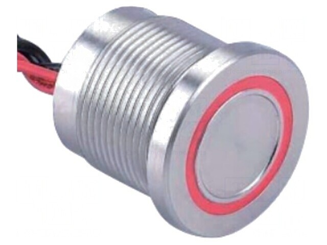 Comutator Piezoelectric 2 Poz SPST-NO 0,2A 24V AC/DC