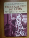 w4 Taina calului de lemn - D.H. Lawrence