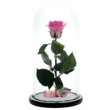 Cumpara ieftin Trandafir Criogenat XL roz &Oslash;6,5cm, cupola sticla 12x25cm
