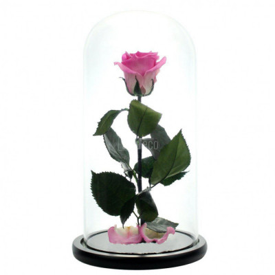 Trandafir Criogenat XL roz &amp;Oslash;6,5cm, cupola sticla 12x25cm foto