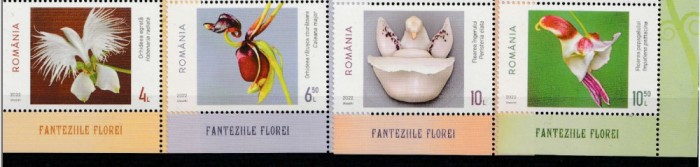 Flori, orhidee, fanteziile florei, margine de coala, 2022, LP 2362, MNH