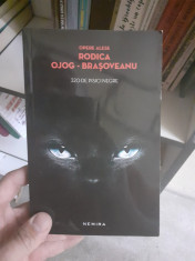 320 de pisici negre - Rodica Ojog Brasoveanu foto