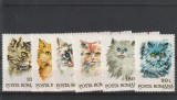 Romania ,pisici de rasa , numar lista 1315.