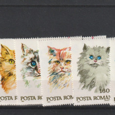Romania ,pisici de rasa , numar lista 1315.