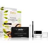 Cumpara ieftin Delia Cosmetics Eyebrow Expert vopsea de sprancene culoare 1.0 Black 4 g