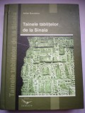 Taina Tăblițelor de la Sinaia - Adrian Bucurescu, Arhetip București, Carte Istorie, 494 pagini