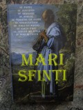 Mari Sfinti: Sf. Augustin, Sf. Bernard, Sf. Ioan al Crucii si altii