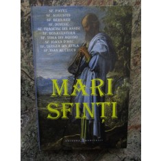 Mari Sfinti: Sf. Augustin, Sf. Bernard, Sf. Ioan al Crucii si altii