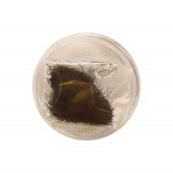 Cumpara ieftin Extensii Gene Thuya 12mm, 0.5g